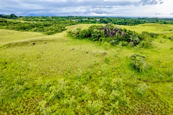Ocean-view riverfront land-40.66 ha in san carlos