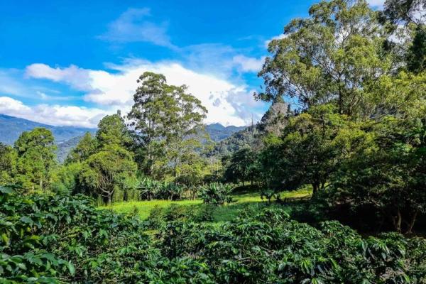 Premium home building lot in las terrazas –boquete