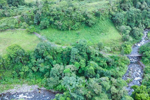 Naturaleza, espacio y potencial en un solo lugar