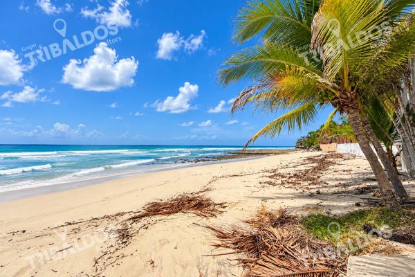 Venta de casa frente al mar en san carlos, con acceso a la playa y 5 recámaras