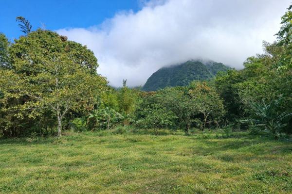 Exceptional mountain lot in el valle de antón!