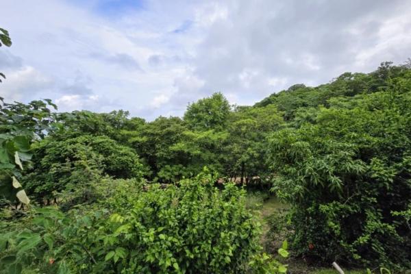 Centrally-located lot with 2 rental studios