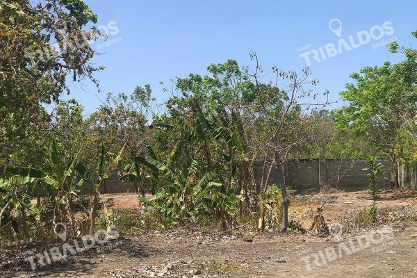Venta de terreno frente a la panamericana, santa clara