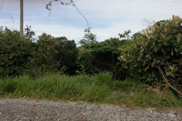 Amplios 5 hectáreas en venta en alto boquete