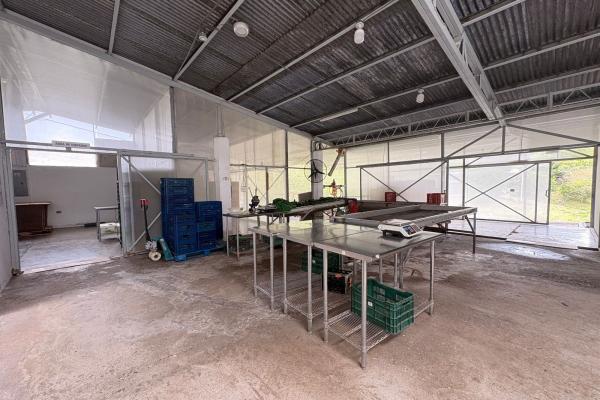 Venta de finca agroindustrial en volcan