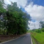 Land for sale, facing the street