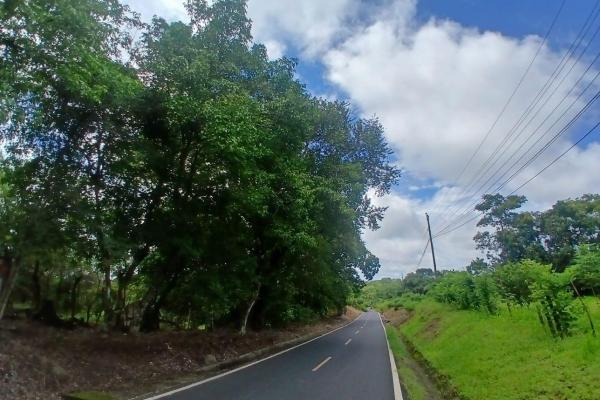 Land for sale, facing the street