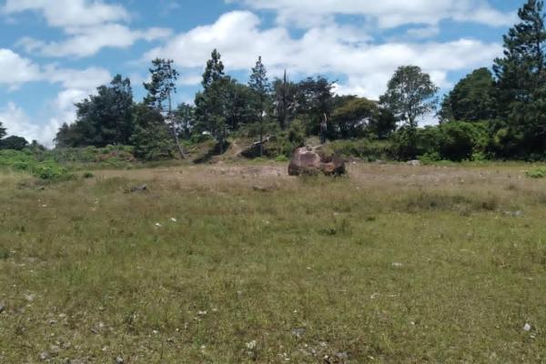 Land for sale in volcancito chiriqui