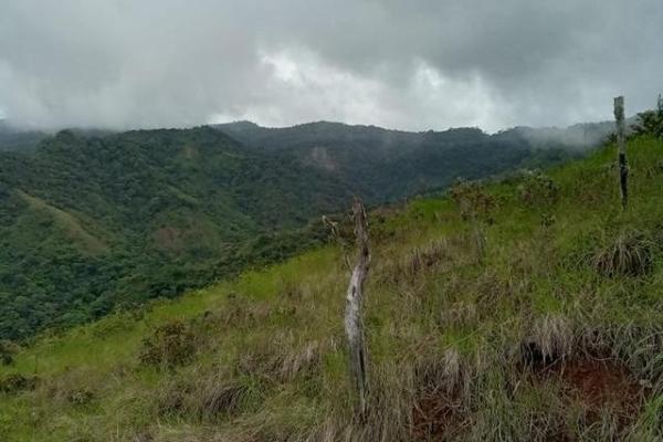 22 hectáreas dentro de altos del maria con vistas maravillosas