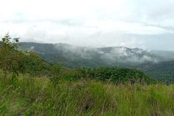 22 hectares within altos del maria with views