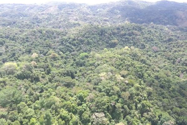 Land for sale in colon, buena vista, el giral