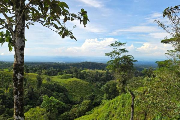 96.10 hectare in boquerón, las monjas