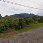 Amplios 5 hectáreas en venta en alto boquete