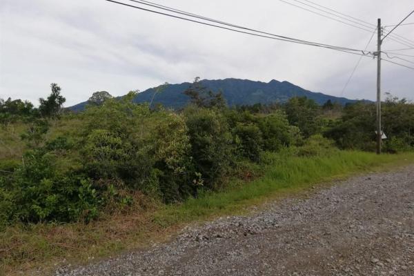 Amplios 5 hectáreas en venta en alto boquete