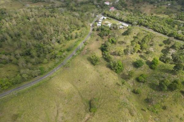 Finca en nuevo san juan , colón , 250 ha