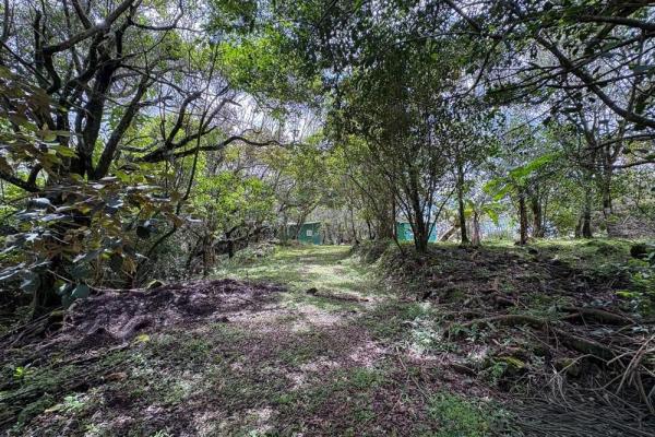 Spacious 9,229 m² flat lot in alto boquete
