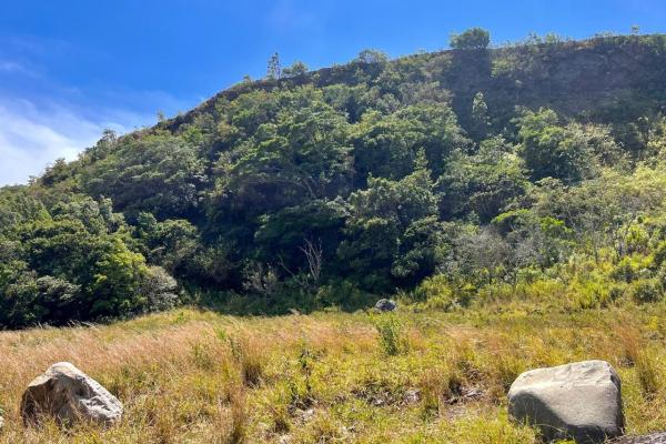Mountain sanctuary: serene lot with hillside charm