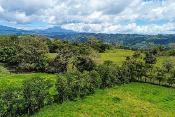 Amplia propiedad de 146.652 ha con fuentes de agua