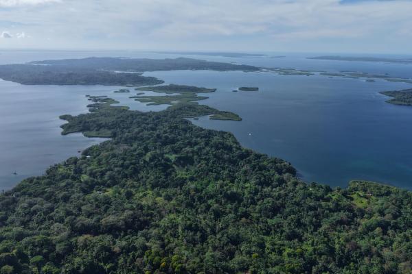 10 hectares of titled waterfront in tierra oscura