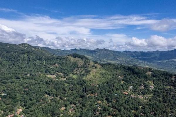 22 hectares within altos del maria with views