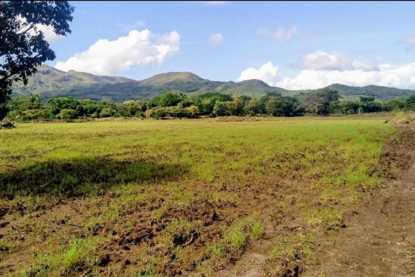 Se vende terreno de 5 hectareas en penonomé
