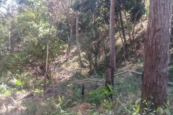 Terreno de 4 hectáreas en venta en veracruz, panamá