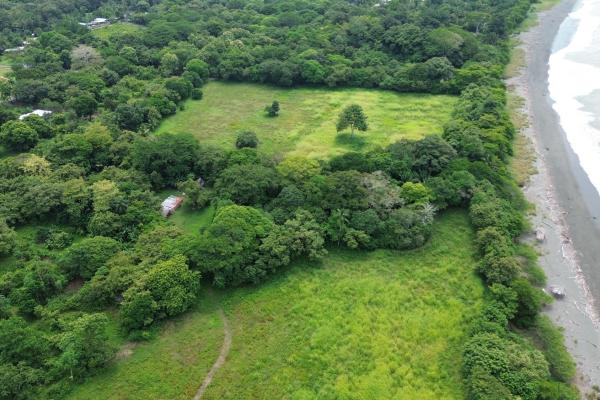 +9 hectares of flat beachfront land for sale