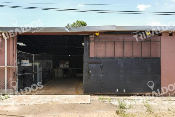 Venta de galera sobre la ave. josé agustín arango