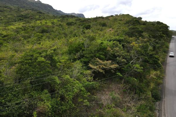 Atractiva finca de 8,7 hectáreas cerca de santa fe
