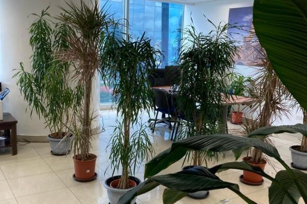 Great opportunity office for sale in punta pacífic