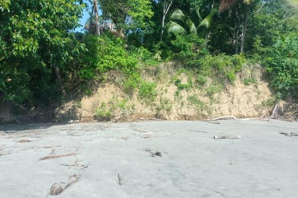 Terreno 69 hectareas en puerto armuelles, limones oportunidad de inversión