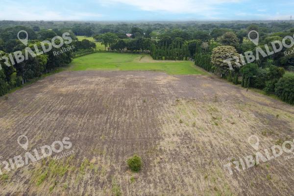 Venta de terreno en rio hato
