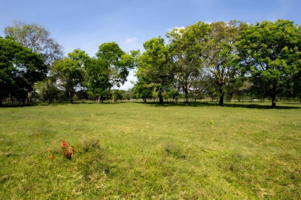 Four hectare property for urbanization in david