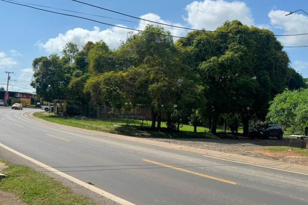 Vendo terreno comercial via principal la mitra la chorrera