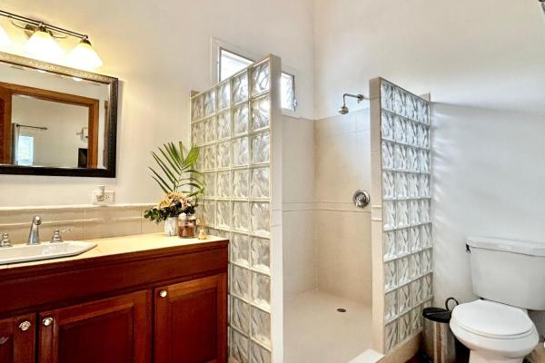 Tropical caribbean estate with guest cabin & pool