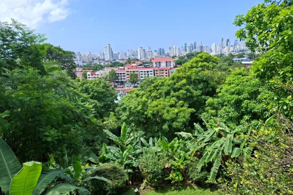 Venta de casa en el avance, betania
