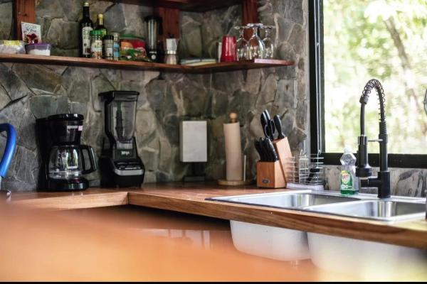 Beautiful modern jungle home for sale in morrillo