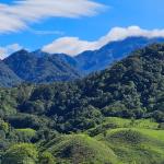 57 hec. cattle ranch for sale in cordillera arriba