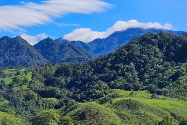 57 hec. cattle ranch for sale in cordillera arriba