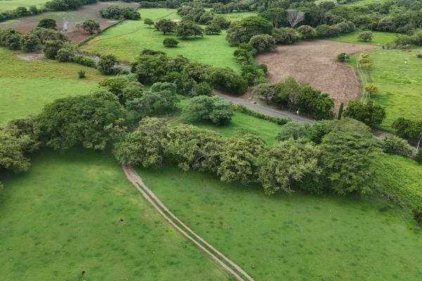 For sale land 9.8 hectares in las tablas