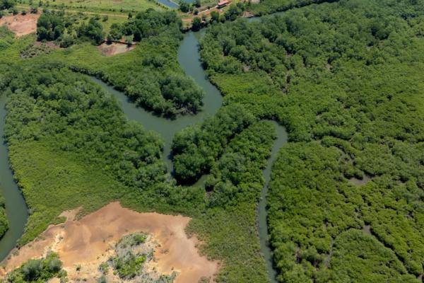 Commercial property in boca chica