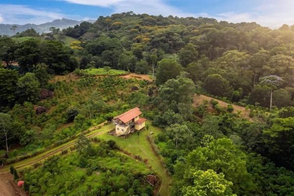 Coffee farm for sale in el cascajal, la pintada