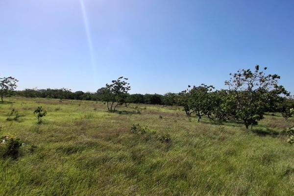 43 hectare plot of land in el espino, anton, cocle
