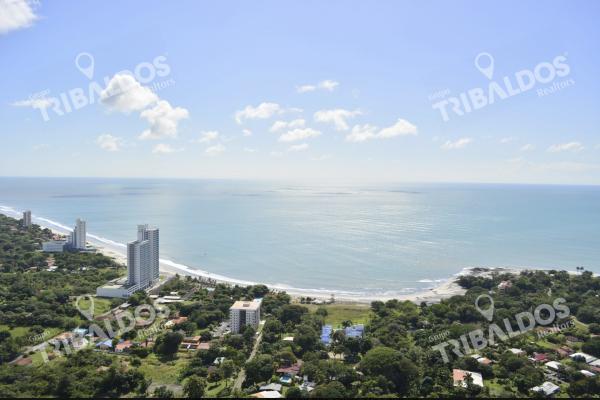 Venta de apartamento en royal palm nueva gorgona