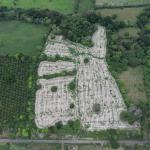 Farm for sale, 40.9 hct flat land alanje, chiriqui
