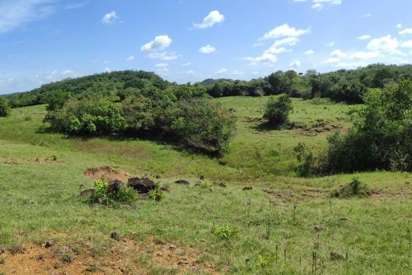 Investor opportunity: high-growth area in veraguas