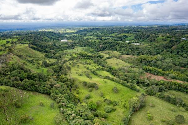 Spring-fed lake & 10 hectares for sale in rovira d