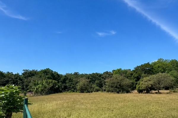 Venta terrenos el espino san carlos