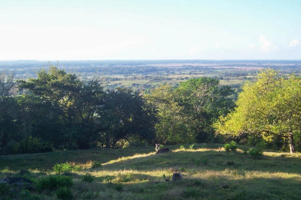 Expansive land for sale in las lomas, david