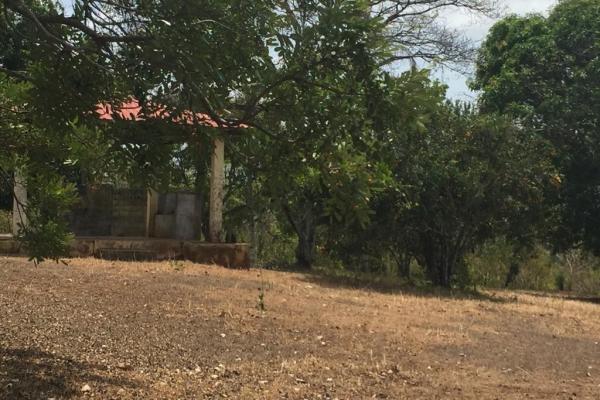 Venta de terreno en el arado, la chorrera